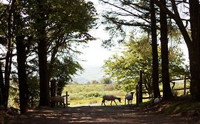 Wheal Tor Hotel & Glamping